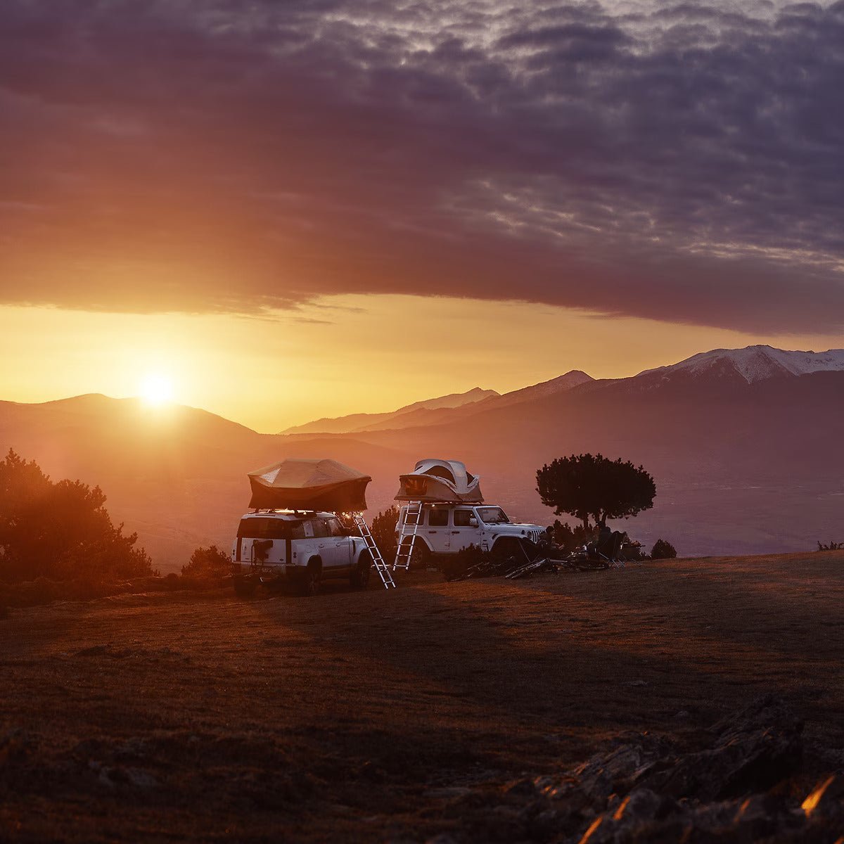 Thule Approach L - Fennel Tan - Dachzelt - Good Camper - Showroom & Onlineshop für Dachzelte HH