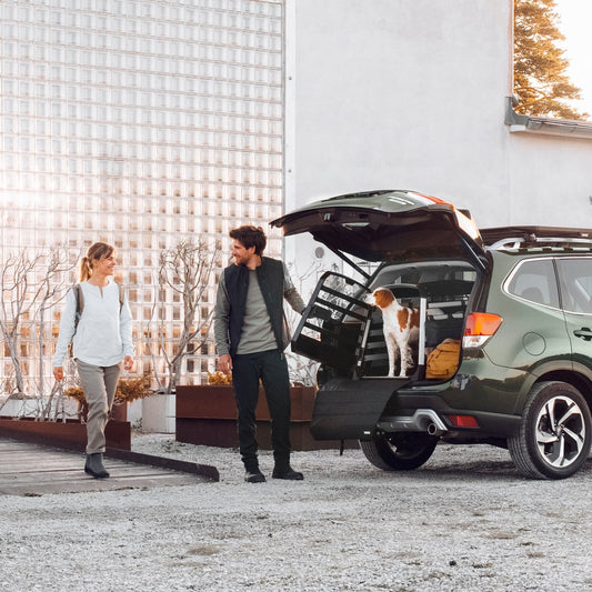 Thule Ladekantenschutz für die Hundebox, 2 verschiedene Größen - Good Camper-Showroom & Onlineshop für Dachzelte HH