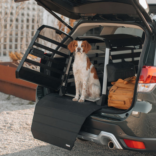 Thule Matte für die Hundebox 2 Varianten - Good Camper-Showroom & Onlineshop für Dachzelte HH